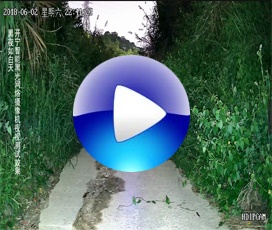 開寧智能黑光全彩高清監(jiān)控夜視效果-自動(dòng)變光