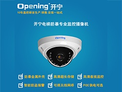 電梯專業(yè)防暴監(jiān)控半球 （點擊進(jìn)入大圖）