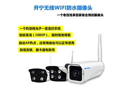 室外無線WIFI網(wǎng)絡(luò)攝像機(jī)系列2 （點擊進(jìn)入大圖）