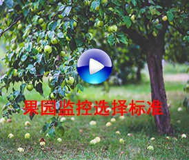 果園監(jiān)控選擇標(biāo)準(zhǔn)