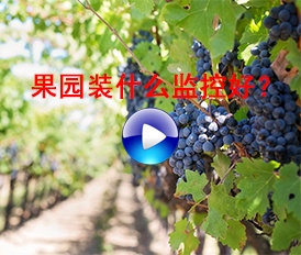 果園裝什么監(jiān)控好？