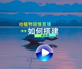 動物園如何實現(xiàn)慢直播