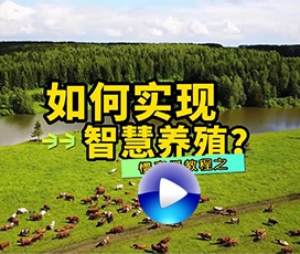 智慧養(yǎng)殖慢直播系統(tǒng)如何搭建？