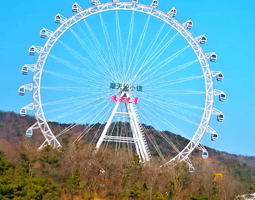 開(kāi)寧4G慢直播攝像機(jī)助力某游樂(lè)場(chǎng)直播摩天輪的案例