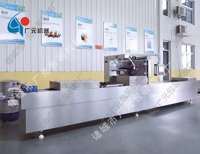 全自動連續真空包裝機（DLZ-320型）